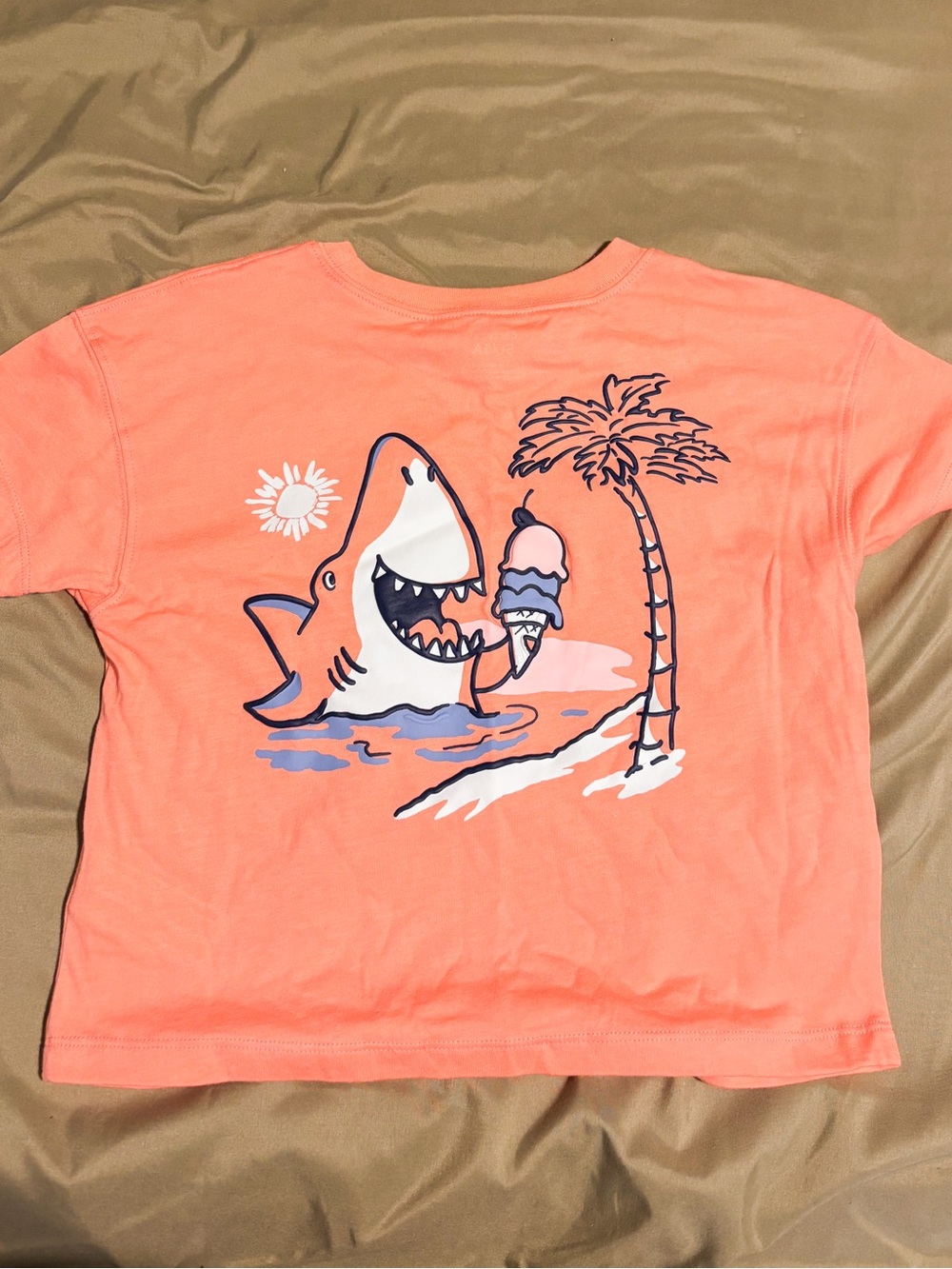5 Pack of 5T Boys Shirts - Carters, Disney and Children’s Place - Picture 13 of 16